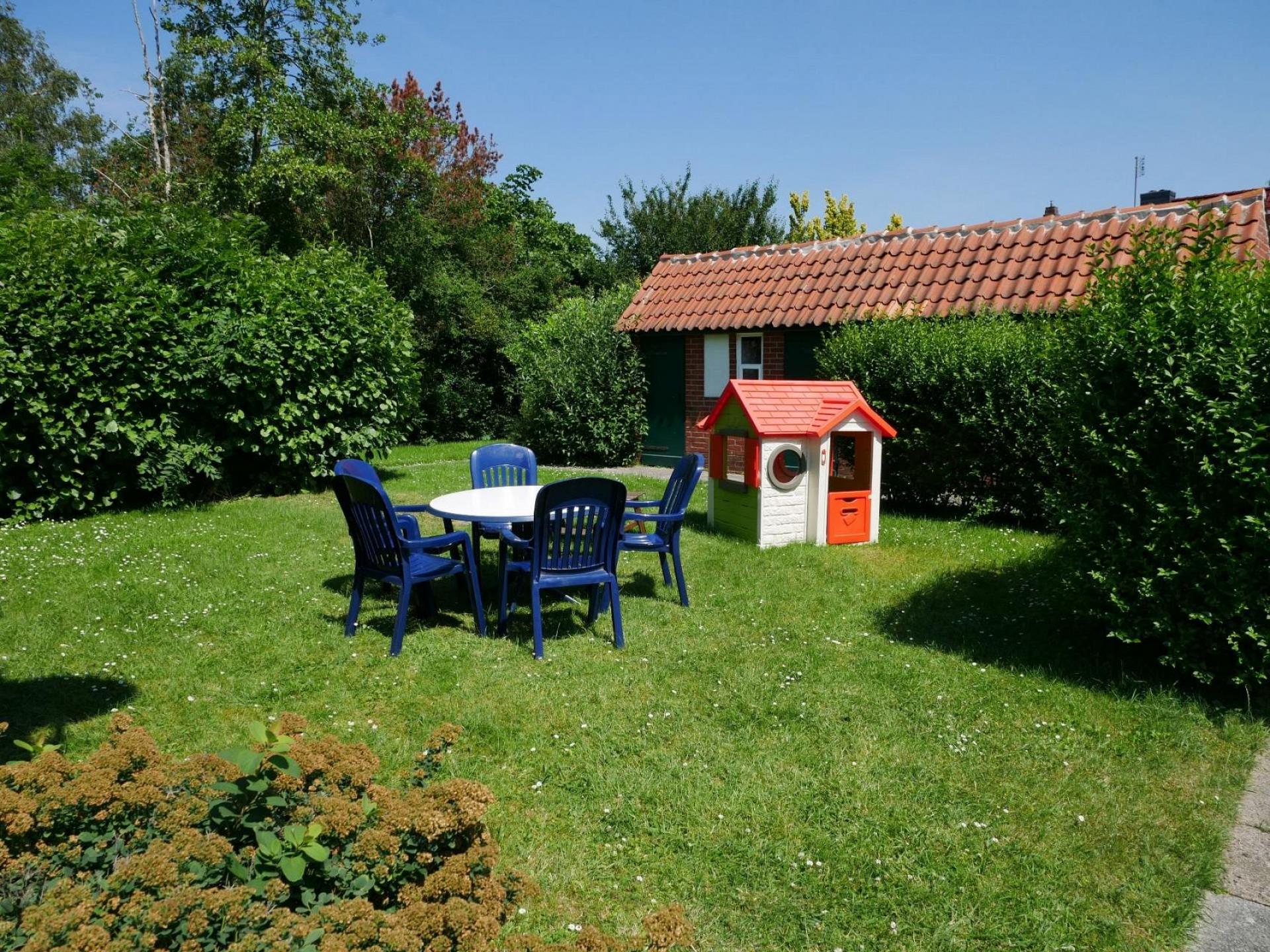 Apart Zwergmöwe Foto 10