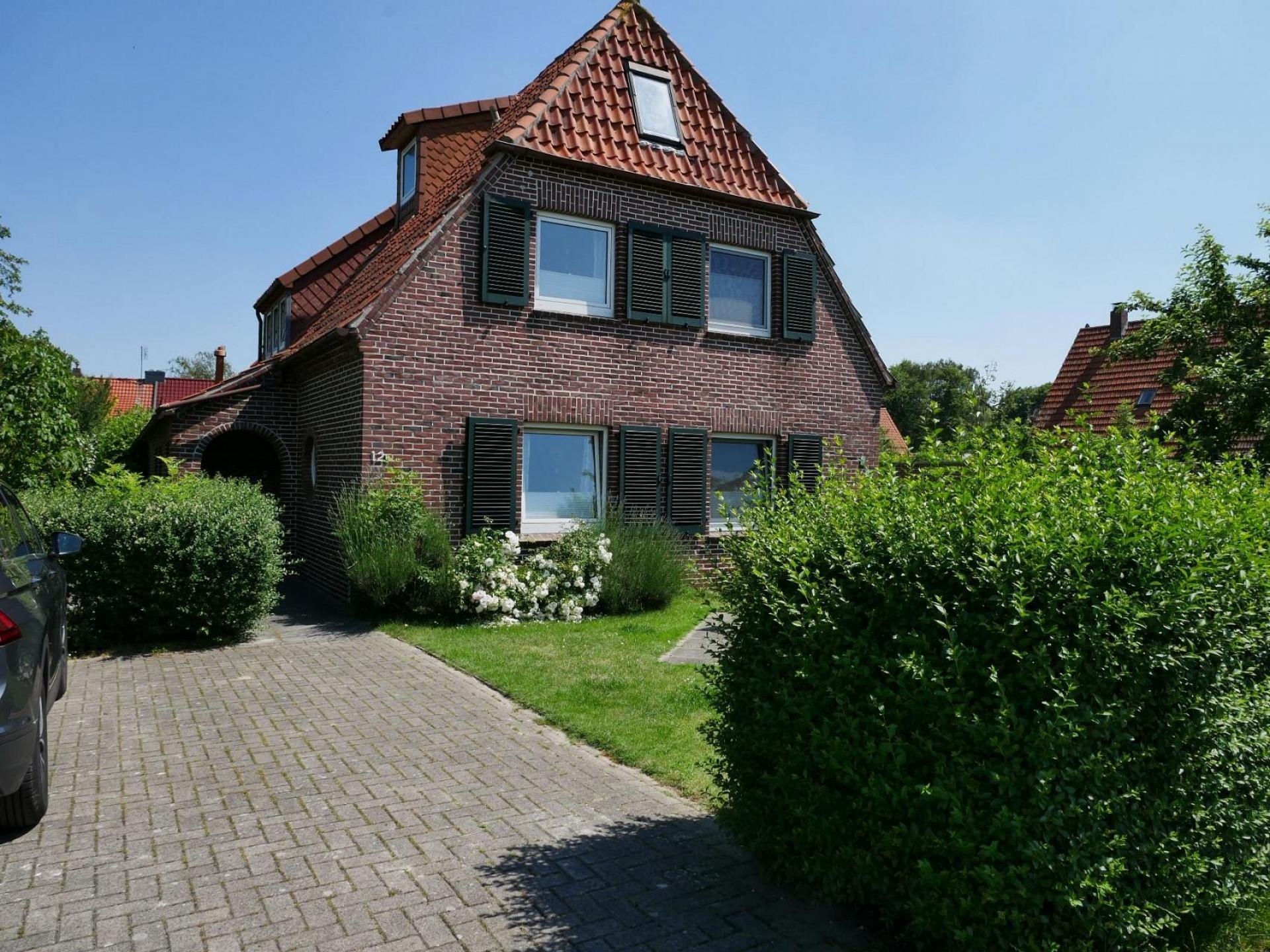 Apart Zwergmöwe Foto 12