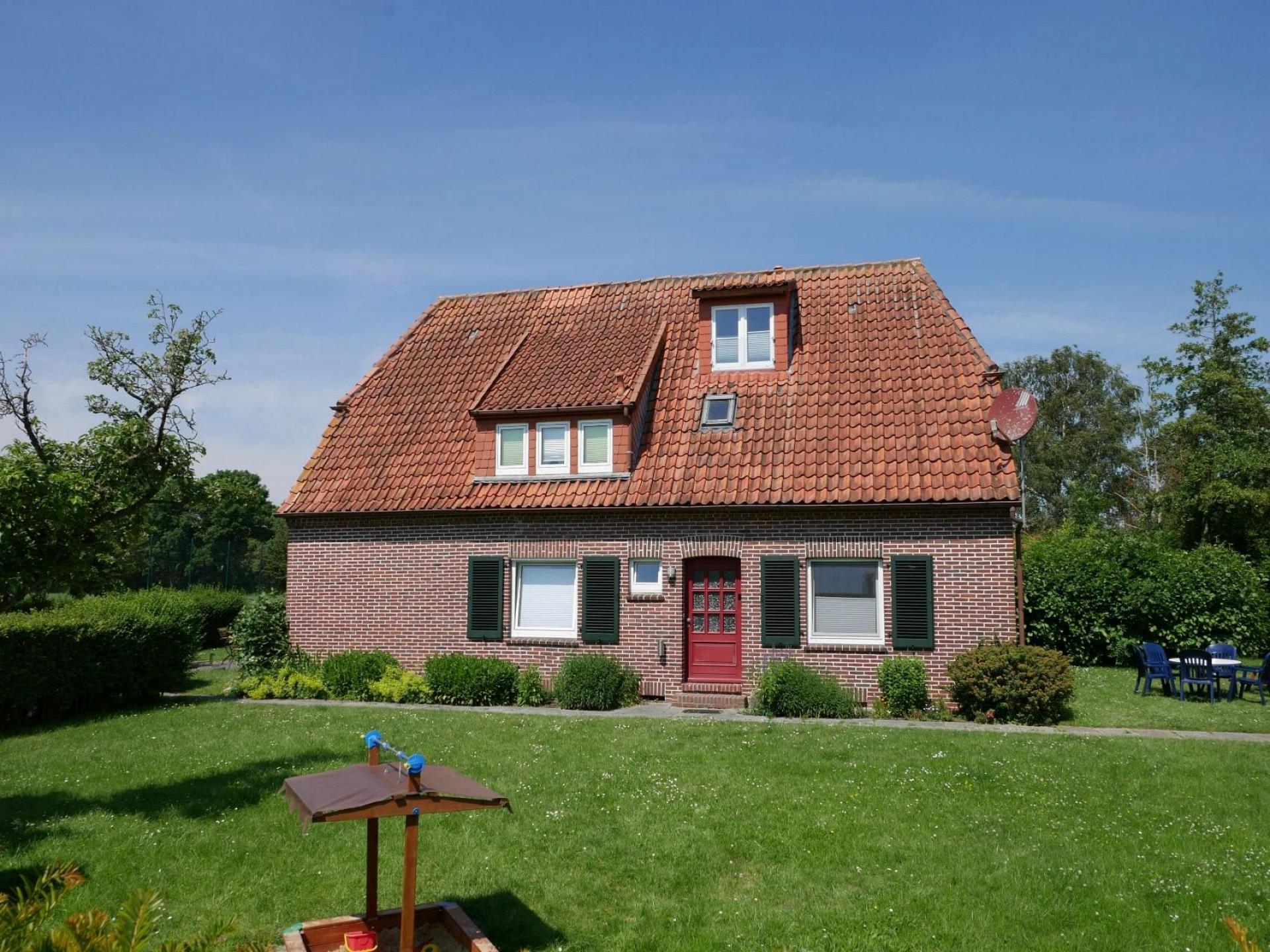 Apart Zwergmöwe Foto 14