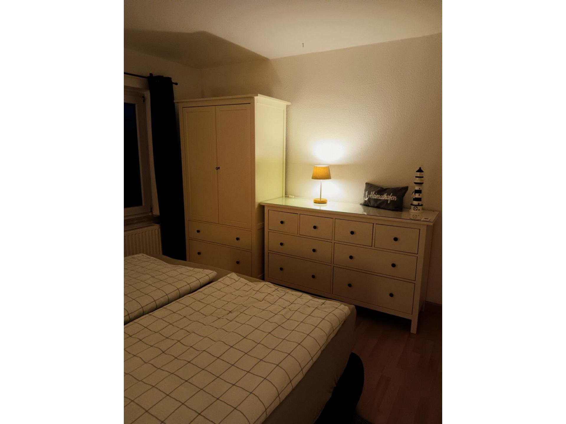 Apart Zwergmöwe Foto 4