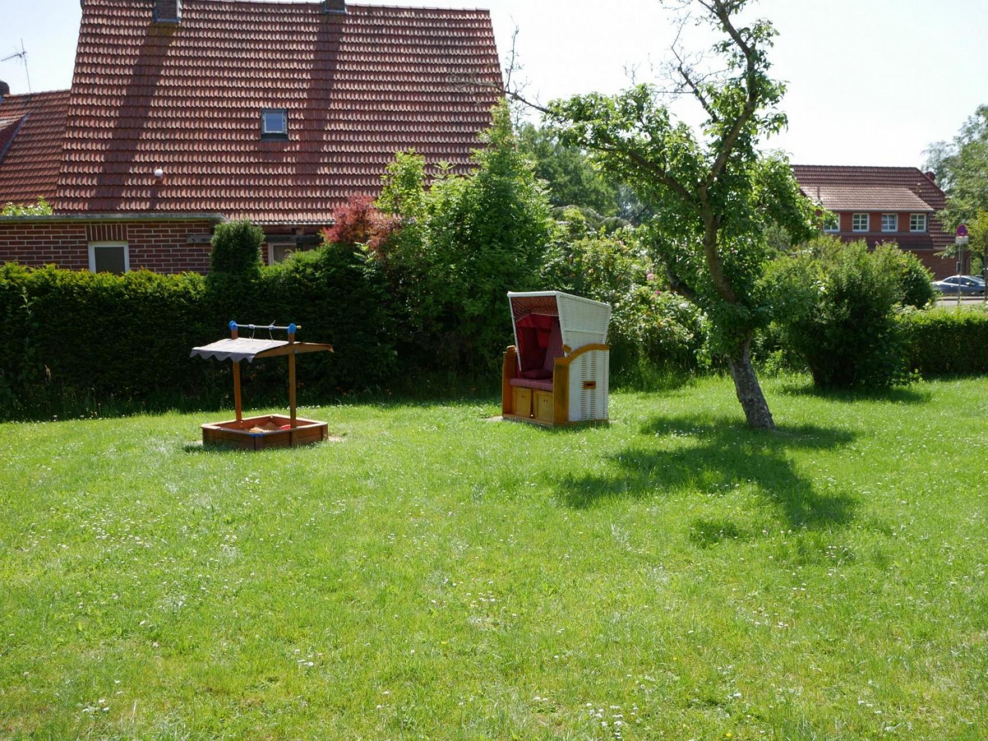 Apart Lachmöwe Foto 9