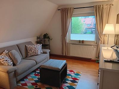 Apart Heringsmöwe